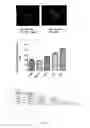 Fig. 23 - High MAST2-affinity polypeptides and uses thereof