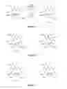 Fig. 02 - HSP90 inhibitors with modified toxicity