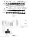 Fig. 06 - HSP90 inhibitors with modified toxicity