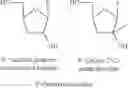 Fig. 02 - 2',3'-Dideoxy-2'-alpha-Fluoro-2'-beta-C-Methylnucleosides and Prodrugs Thereof