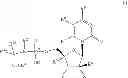 Fig. 08 - Nucleoside phosphoramidate prodrugs