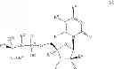 Fig. 09 - Nucleoside phosphoramidate prodrugs