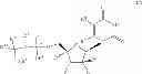 Fig. 10 - Nucleoside phosphoramidate prodrugs
