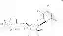 Fig. 20 - Nucleoside phosphoramidate prodrugs