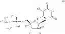 Fig. 28 - Nucleoside phosphoramidate prodrugs