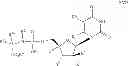 Fig. 33 - Nucleoside phosphoramidate prodrugs
