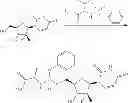 Fig. 56 - Nucleoside phosphoramidate prodrugs