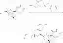 Fig. 58 - Nucleoside phosphoramidate prodrugs