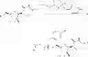 Fig. 59 - Nucleoside phosphoramidate prodrugs
