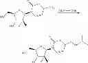Fig. 60 - Nucleoside phosphoramidate prodrugs