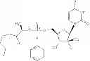 Fig. 97 - Nucleoside phosphoramidate prodrugs