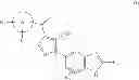 Fig. 02 - Aminopyrazole derivative