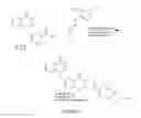 Fig. 03 - Hybrid diazeniumdiolated compounds, pharmaceutical compositions, and method of treating cancer