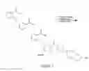 Fig. 04 - Hybrid diazeniumdiolated compounds, pharmaceutical compositions, and method of treating cancer