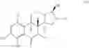 Fig. 09 - 6-substituted demethyl-estradiol derivatives as selective ER-β agonists