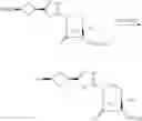 Fig. 285 - BETA-LACTAMASE INHIBITORS
