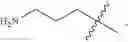 Fig. 60 - BETA-LACTAMASE INHIBITORS