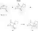 Fig. 04 - NICOTINIC RECEPTOR NON-COMPETITIVE ANTAGONISTS