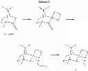 Fig. 05 - NICOTINIC RECEPTOR NON-COMPETITIVE ANTAGONISTS