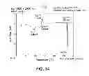 Fig. 15 - Pharmaceutical formulations, processes, solid forms and methods of use relating to 1-ethyl-7-(2-methyl-6-(1H-1,2,4-triazol-3-yl)pyridin-3-yl)-3,4-dihydropyrazino[2,3-b] pyrazin-2(1H)-one