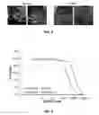 Fig. 04 - Design, synthesis and evaluation of procaspase activating compounds as personalized anti-cancer drugs