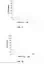 Fig. 09 - Design, synthesis and evaluation of procaspase activating compounds as personalized anti-cancer drugs