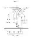 Fig. 45 - HSP90 COMBINATION THERAPY