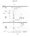 Fig. 46 - HSP90 COMBINATION THERAPY