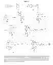 Fig. 58 - HSP90 COMBINATION THERAPY
