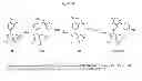 Fig. 59 - HSP90 COMBINATION THERAPY