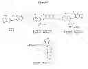 Fig. 60 - HSP90 COMBINATION THERAPY
