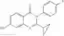 Fig. 45 - Substituted quinazolinones as vanilloid antagonists