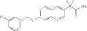 Fig. 79 - Substituted naphthyridine and quinoline compounds as MAO inhibitors