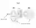 Fig. 02 - Pharmaceutical composition with enhanced efficacy for inhibiting angiogenesis