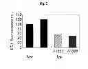 Fig. 06 - Pharmaceutical composition with enhanced efficacy for inhibiting angiogenesis