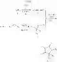 Fig. 52 - ANDROGEN RECEPTOR ANTAGONISTS AND USES THEREOF
