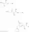 Fig. 59 - Pyrazole compound