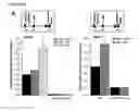 Fig. 11 - PARP-1 INHIBITORS