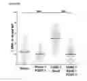 Fig. 26 - PARP-1 INHIBITORS
