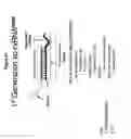Fig. 35 - RNA interference in skin indications