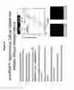 Fig. 52 - RNA interference in skin indications