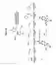 Fig. 79 - RNA interference in skin indications