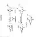 Fig. 84 - RNA interference in skin indications