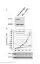 Fig. 02 - APOPTOSIS-INDUCING AGENT
