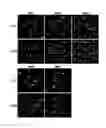Fig. 06 - APOPTOSIS-INDUCING AGENT