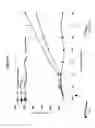 Fig. 05 - Delivering functional nucleic acids to mammalian cells via bacterially-derived, intact minicells