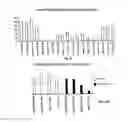 Fig. 08 - Compositions and methods for treatment of prostate and other cancers