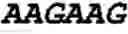Fig. 41 - Double-stranded nucleic acid molecule for gene expression control