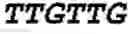 Fig. 45 - Double-stranded nucleic acid molecule for gene expression control