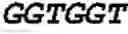 Fig. 48 - Double-stranded nucleic acid molecule for gene expression control